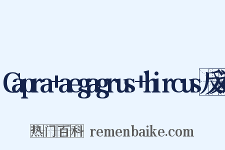 Capra+aegagrus+hircus反义词是什么意思的图片
